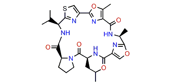 Leucamide A